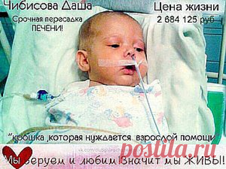 Благотворительный аукцион в помощь Дашеньке Чибисовой! - Ярмарка Мастеров - ручная работа, handmade