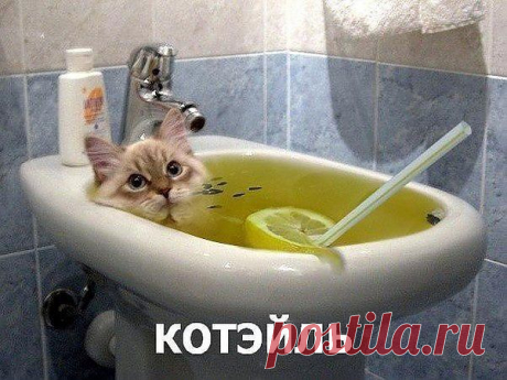 Группа: Хохотушки
