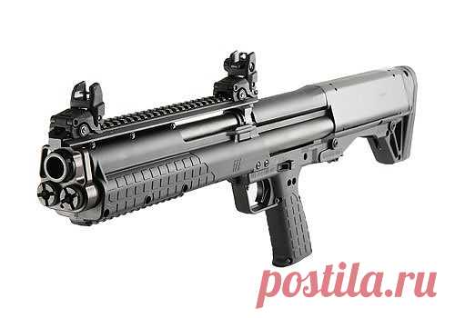 Kel-Tec KSG | Weapons & 2nd Amendment stuff