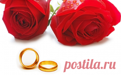 4555895 (2560×1600)