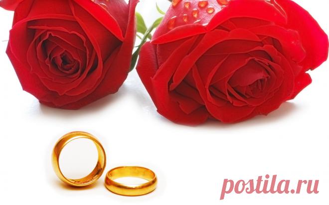 4555895 (2560×1600)