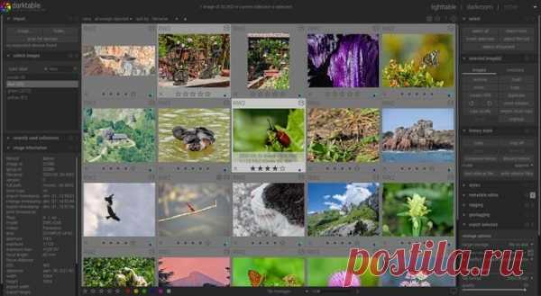 Выпуск программы для обработки фотографий Darktable 5.0.0