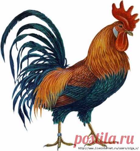 Дневник Пусть_буду_-_Я