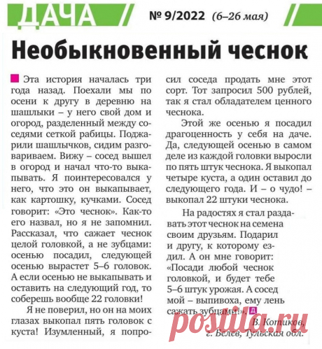 Необыкновенный чеснок