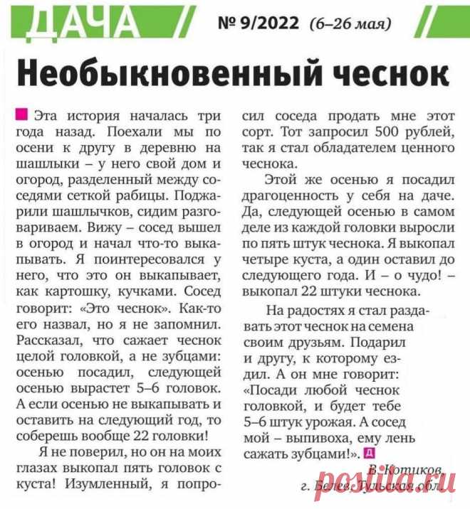 Необыкновенный чеснок