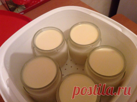 Готовим вместе с посудой Tupperware: Йогурт в термосервирователе