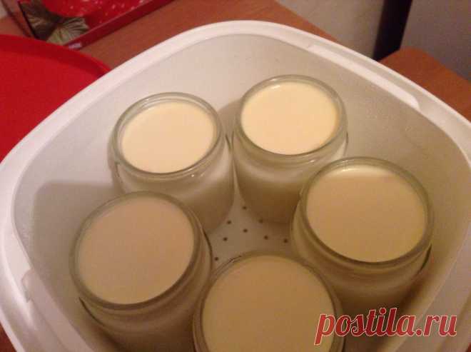 Готовим вместе с посудой Tupperware: Йогурт в термосервирователе