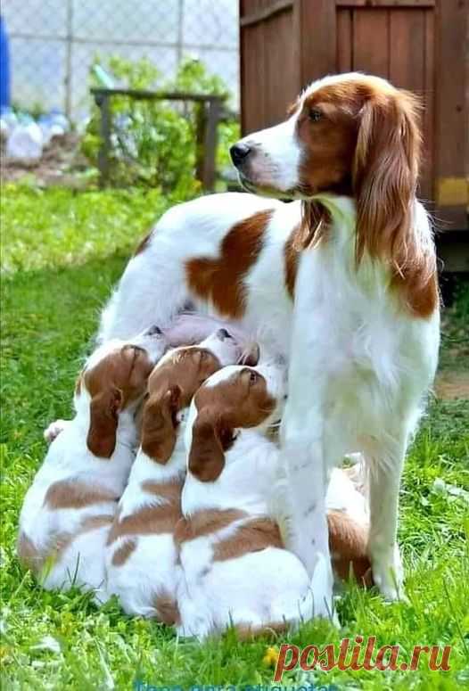 (15) Carmo Martins | Facebook