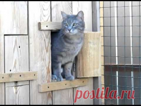 It's too cold outside. Will stay at home. / Холодно! Посижу лучше дома - YouTube