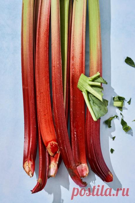 Skonių kelionės. Rabarbarai + rozmarinai VMGonline