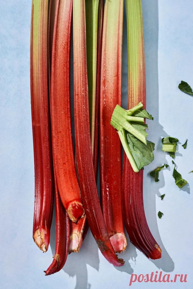 Skonių kelionės. Rabarbarai + rozmarinai VMGonline