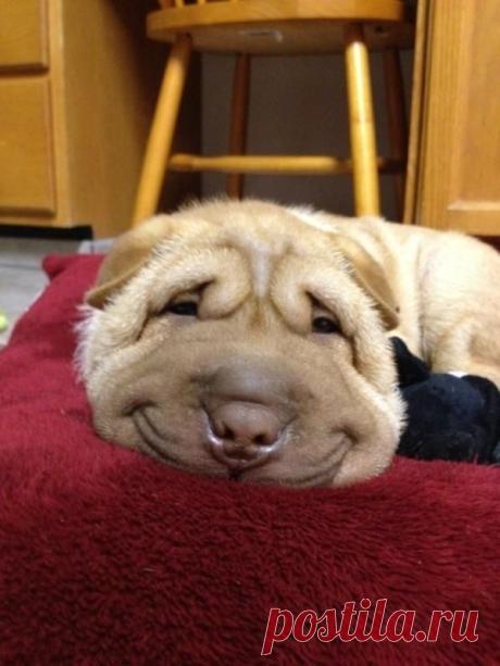 .smile...
