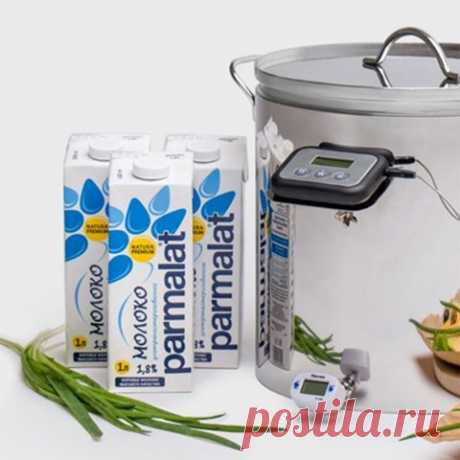 Купить мини сыроварню Бергман для дома