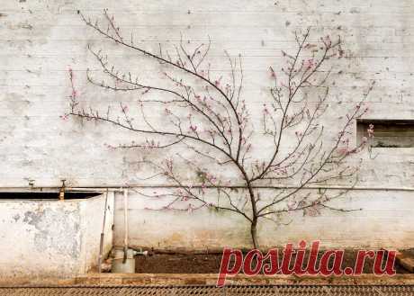 &gt;&gt; Победители Sony World Photography Awards 2014 | ФОТО НОВОСТИ