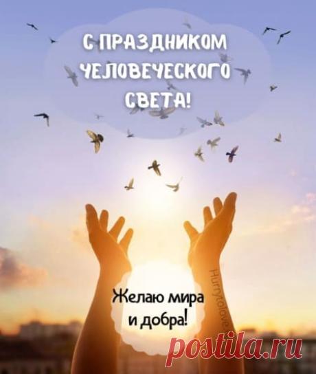 Картинки на праздник человеческого света: прикольные поздравления в открытках