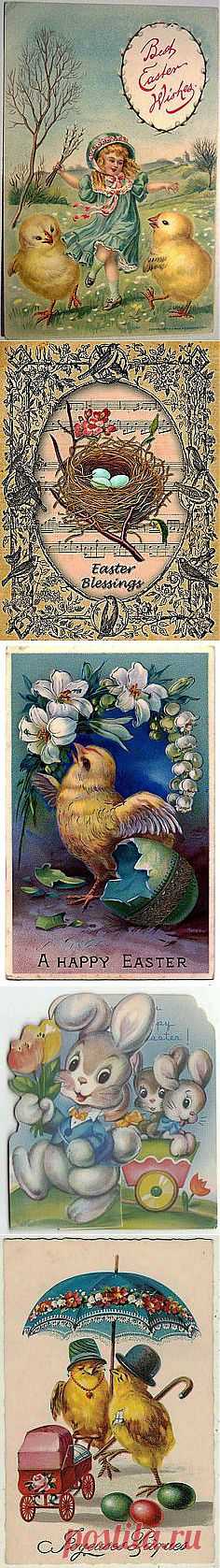 Here Comes Peter Cottontail on Pinterest