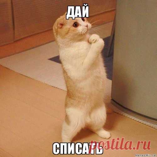 Дай списать!
