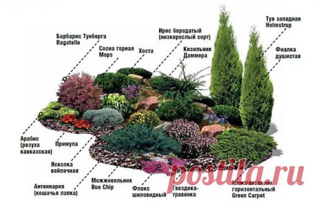 (99) Одноклассники