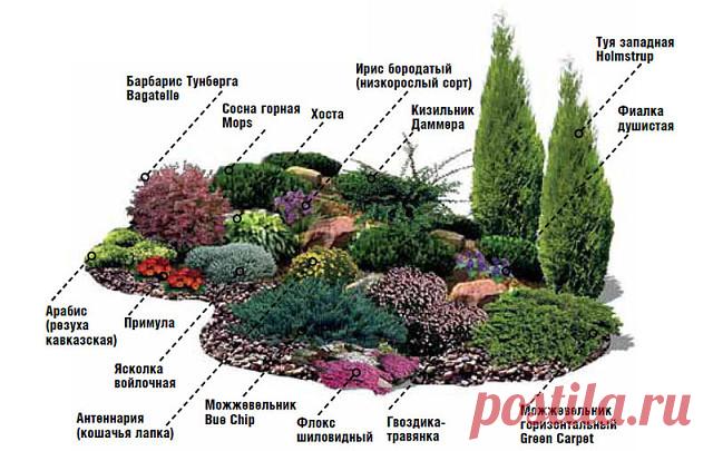 (99) Одноклассники