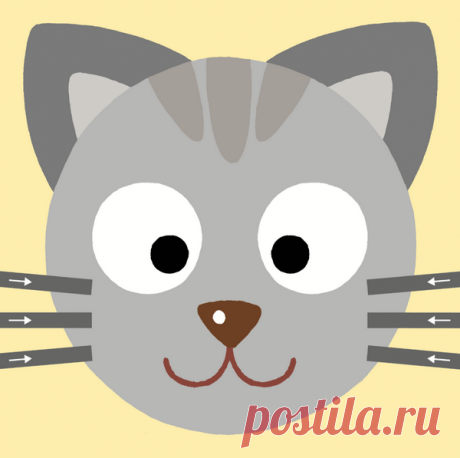 Как научить ребенка работать с ножницами. Задания из KUMON для скачивания