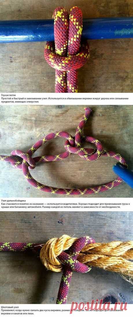 Полезное умение завязывать узлы