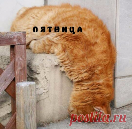 Пятница!