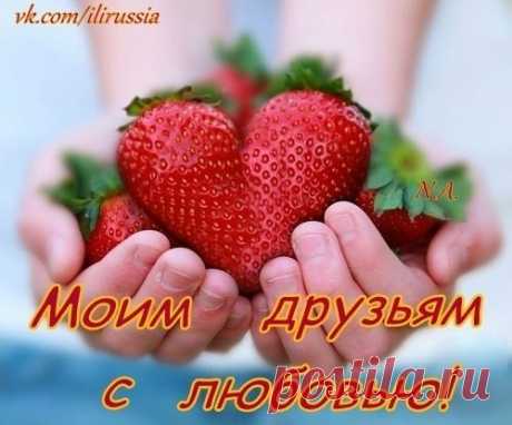 друзья мои