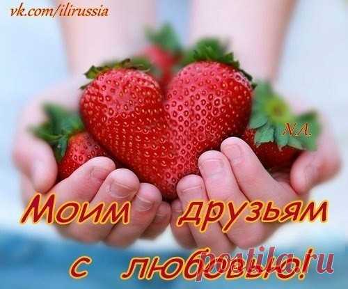 друзья мои