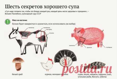 6 секретов хорошего супа

Первые блюда снова в моде! В меню популярных кафе и элегантные супы-пюре из Европы, и родные, наваристые и душистые, щи, борщи и солянки, и жгучее кавказское харчо.Так почему бы не приготовить их дома, используя секреты шеф-поваров?
Показать полностью…