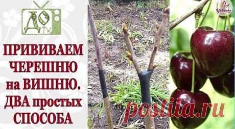 3 непрочитанных чата