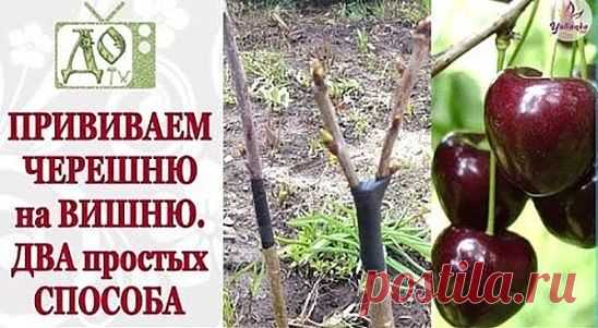 3 непрочитанных чата
