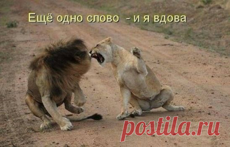 (73) Pinterest