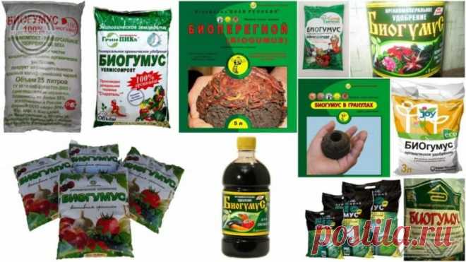 Получение биогумуса от красных калифорнийских червей
Биогумус (или, как его называют в науке, вермикомпост) – это исключительно полезное...
Читай дальше на сайте. Жми подробнее ➡