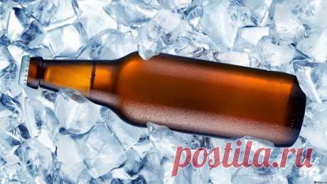 Перед злоупотреблением охладить: интересные факты о пиве — Наука и жизнь