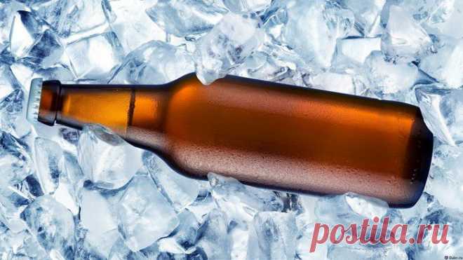 Перед злоупотреблением охладить: интересные факты о пиве — Наука и жизнь