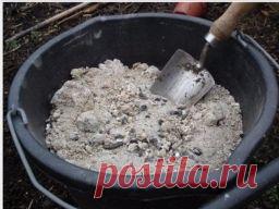 Зола как защитник - Садоводка