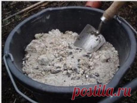 Зола как защитник - Садоводка