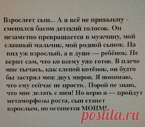 Одноклассники