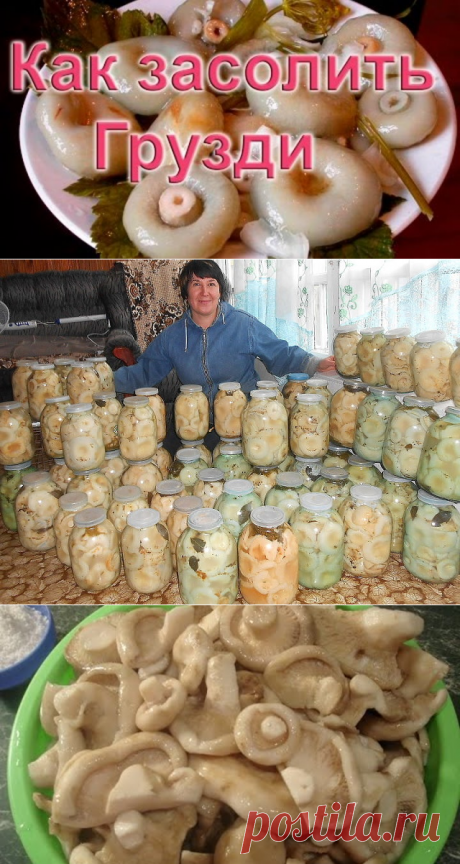 (12) Одноклассники