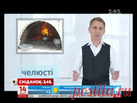 Що таке "вилиці", "скроні" й "повіки"?