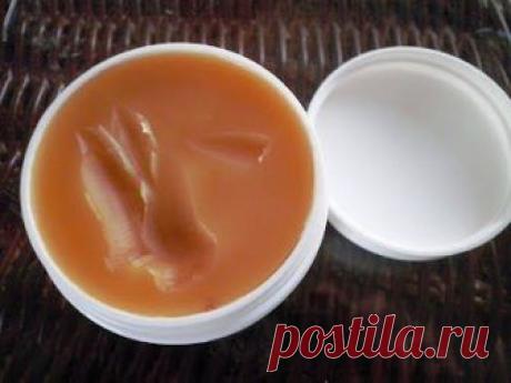 Медвежий жир от кашля: как принимать при лечении бронхита, инструкция по применению, время действия Применение медвежьего жира при кашле, вирусных инфекциях, ангине, острой пневмонии способствует лучшему отхаркиванию мокроты и скорейшему выздоровлению.