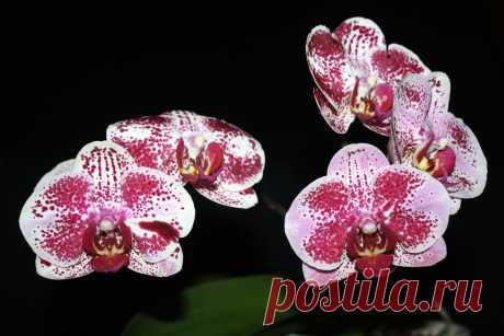 MGalleryItem.php (1024×683)