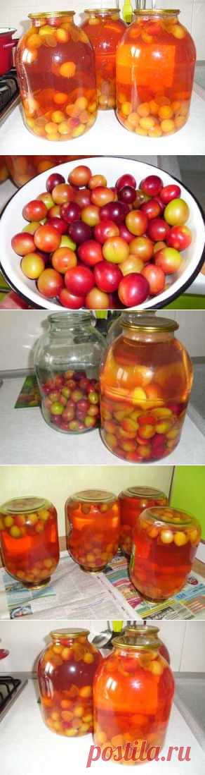 Компот из слив АЛЫЧИ