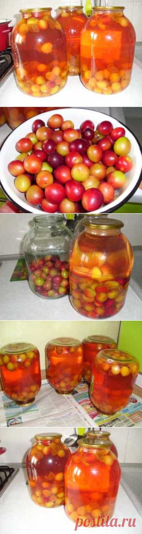 Компот из слив АЛЫЧИ