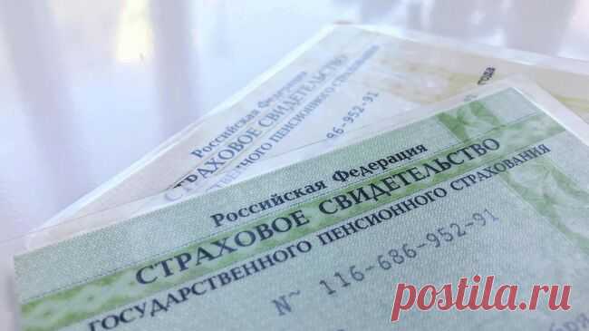 В Госдуме предложили сделать номер СНИЛС и ОМС таким же, как номер телефона