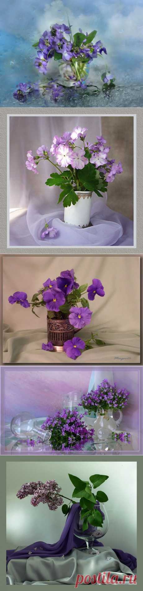 ��������� � ��������� �����. ���������� �� LiveInternet - ���������� ������ ������-���������