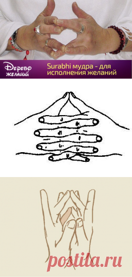 Мудры | Записи в рубрике Мудры | Дневник Lkis