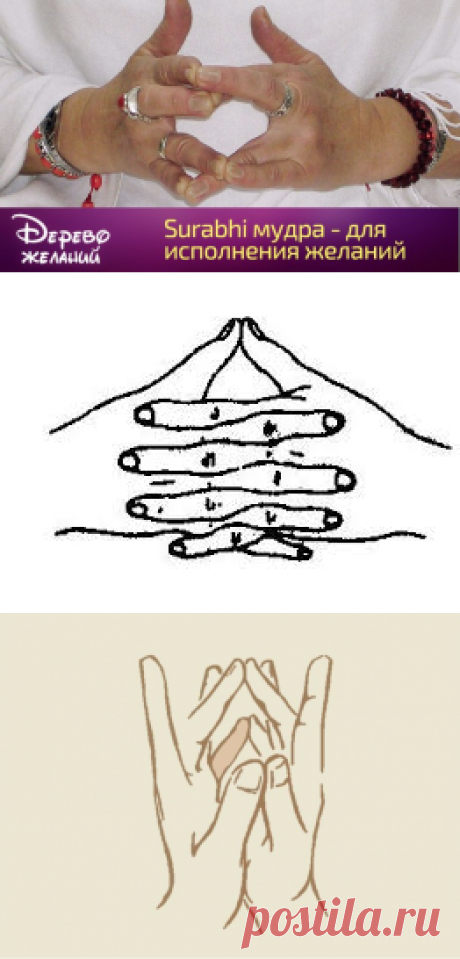 Мудры | Записи в рубрике Мудры | Дневник Lkis