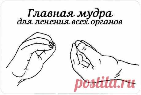 (64) Одноклассники