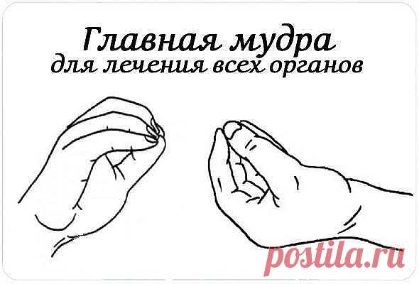 (64) Одноклассники